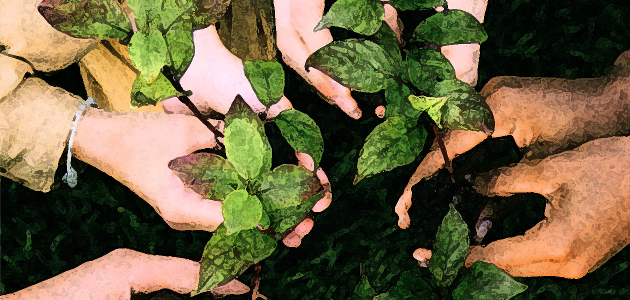 GOING BEYOND GREEN: HOW REGENERATIVE TRAVEL CAN CHANGE THE WORLD